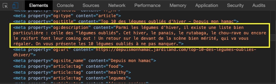 capture d’écran du code HTML d’une page web pour montrer la balise description