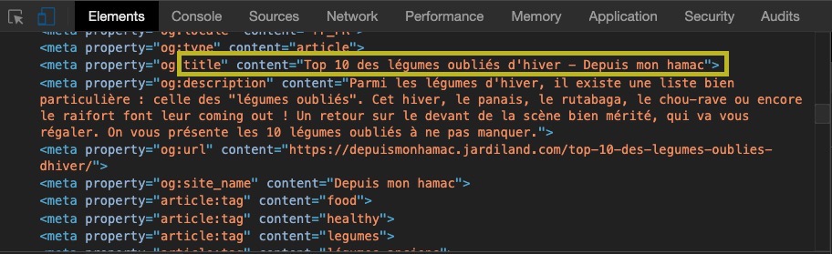 capture d’écran du code HTML d’une page web pour montrer la balise title