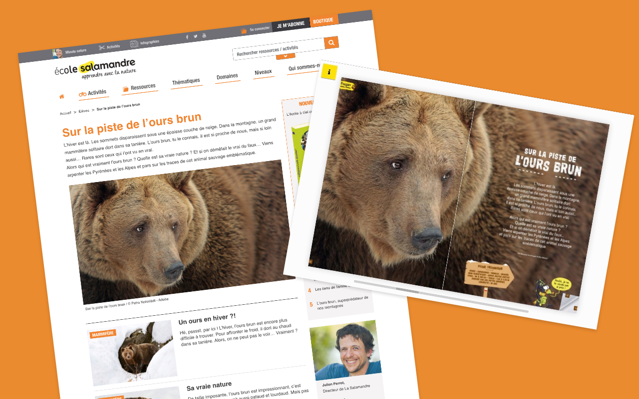 Sur ecole.salamandre.net, les dossiers des revues jeunesse sont accessibles au format article web ou en mode feuilletage.