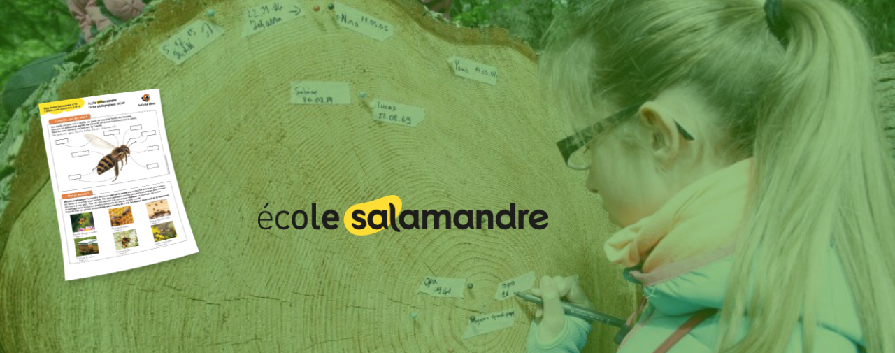 École Salamandre, site pédagogique d'éducation à la nature pour l'école primaire, Mediatools.