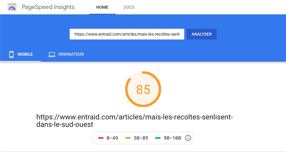 Site entraid : test article mobile avec Pagepeed Insights de Google.