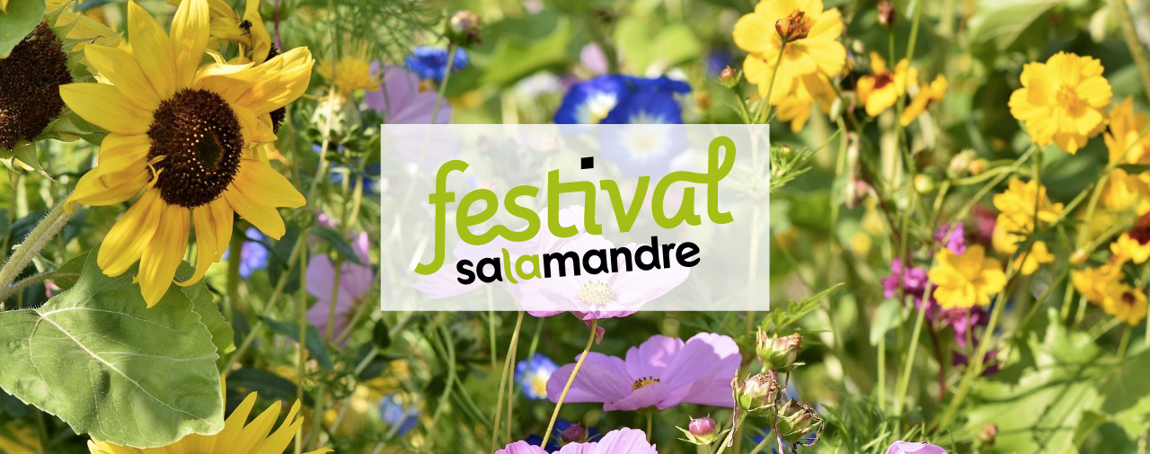 Site festival Salamandre, image de présentation