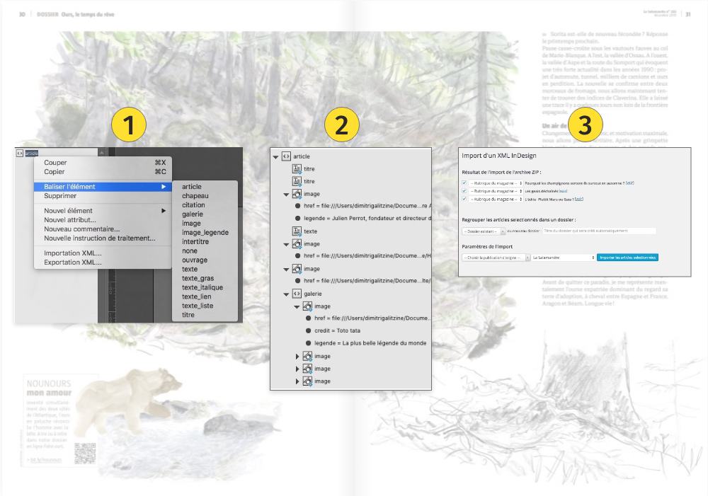 Digital Asset Management La Salamandre par Mediatools : processus import article Indesign