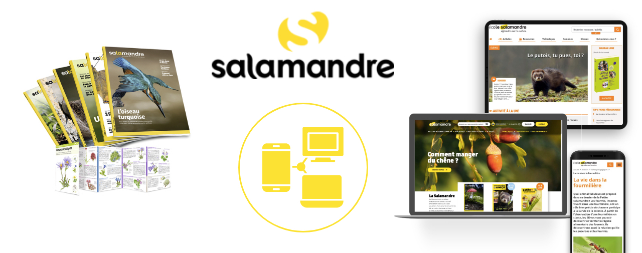 Dgital Asset Management de La Salamandre par Mediatools : image illustrative