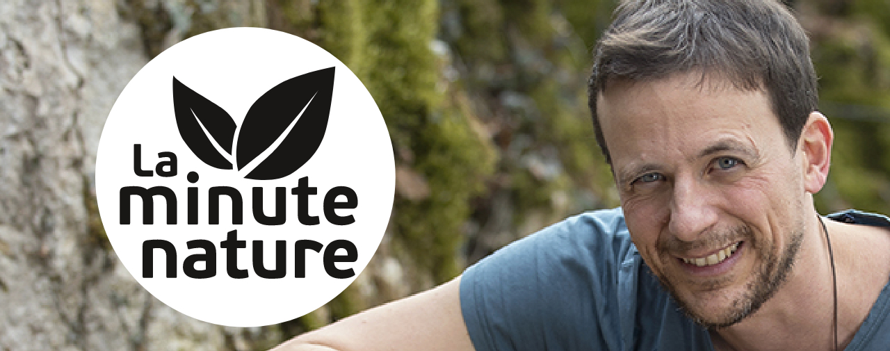 Portrait de Julien Perrot, fondateur du magazine La Salamandre et producteur de La Minute Nature.